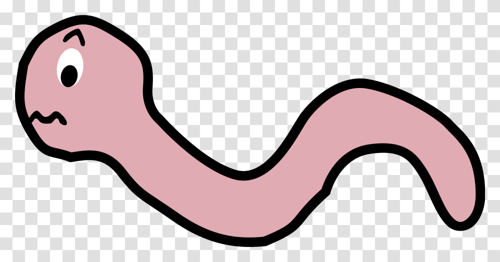 Pinkorganarea Cartoon Worm Background, Animal, Invertebrate, Label Transparent Png