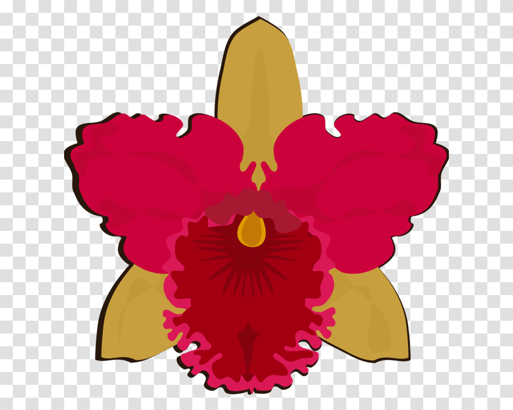 Pinkplantflower Orchids, Blossom, Hibiscus Transparent Png