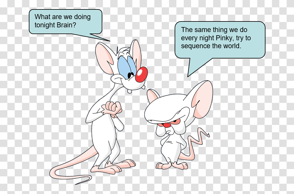 Pinky And The Brain, Comics, Book, Sunglasses, Accessories Transparent Png