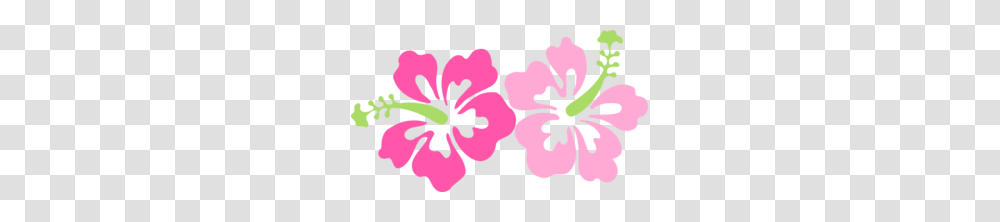 Pinky Hibiscus Clip Art, Plant, Flower, Blossom, Petal Transparent Png