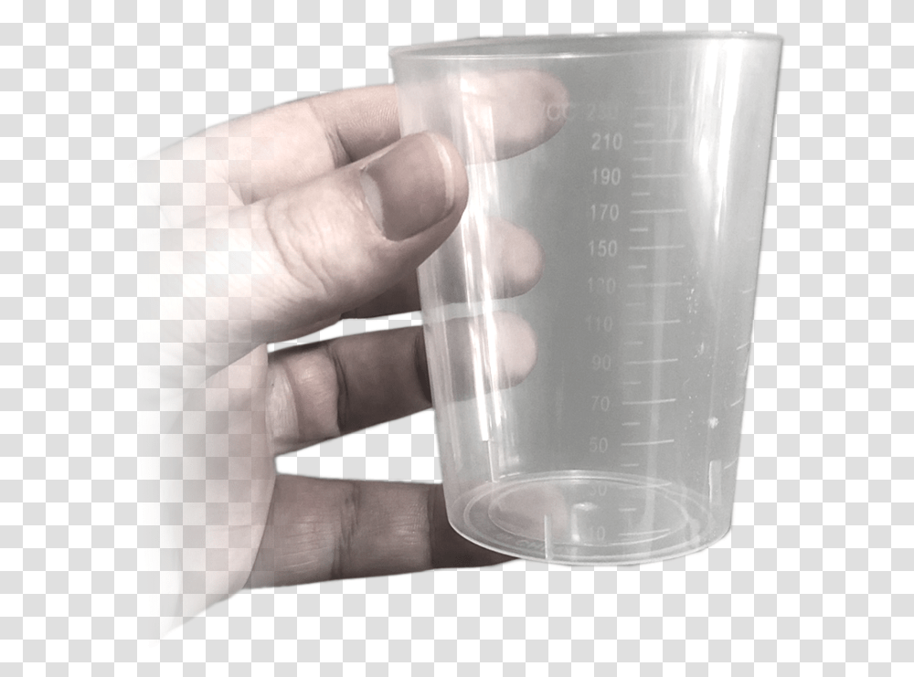 Pint Glass, Cup, Measuring Cup, Person, Human Transparent Png