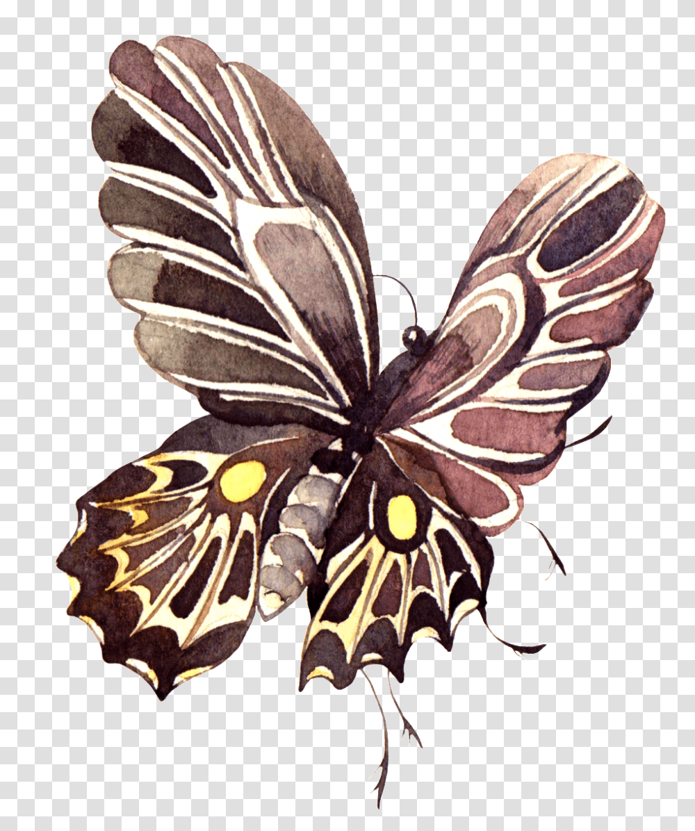 Pintado A Mano De Color Marron Oscuro Mariposa Swallowtail Butterfly, Insect, Invertebrate, Animal, Snake Transparent Png