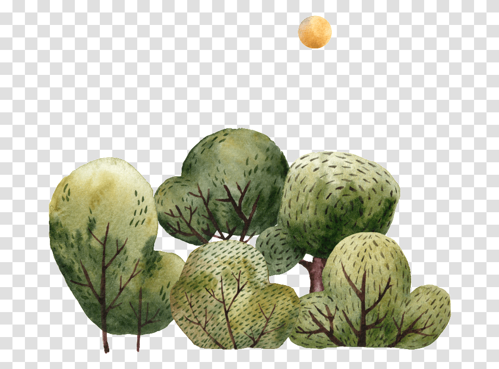 Pintado A Mano De Dibujos Animados Arboles Transparente Watermelon, Plant, Food, Cactus, Vegetable Transparent Png