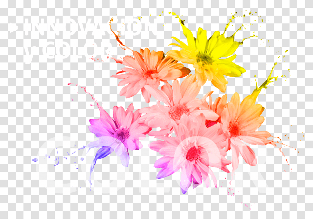 Pintura De Colores, Plant, Floral Design Transparent Png