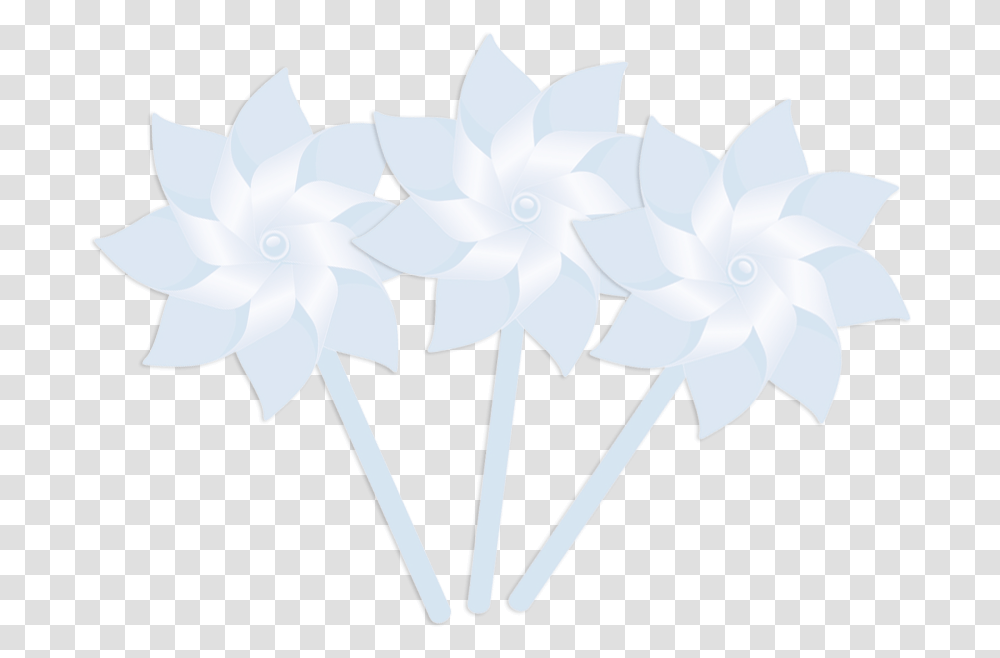 Pinwheel Washout V1 Jasmine, Flower, Plant, Blossom, Paper Transparent Png