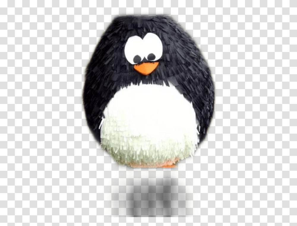 Pinyata Freetoedit Circle Penguin Piata, Bird, Animal, Beak Transparent Png