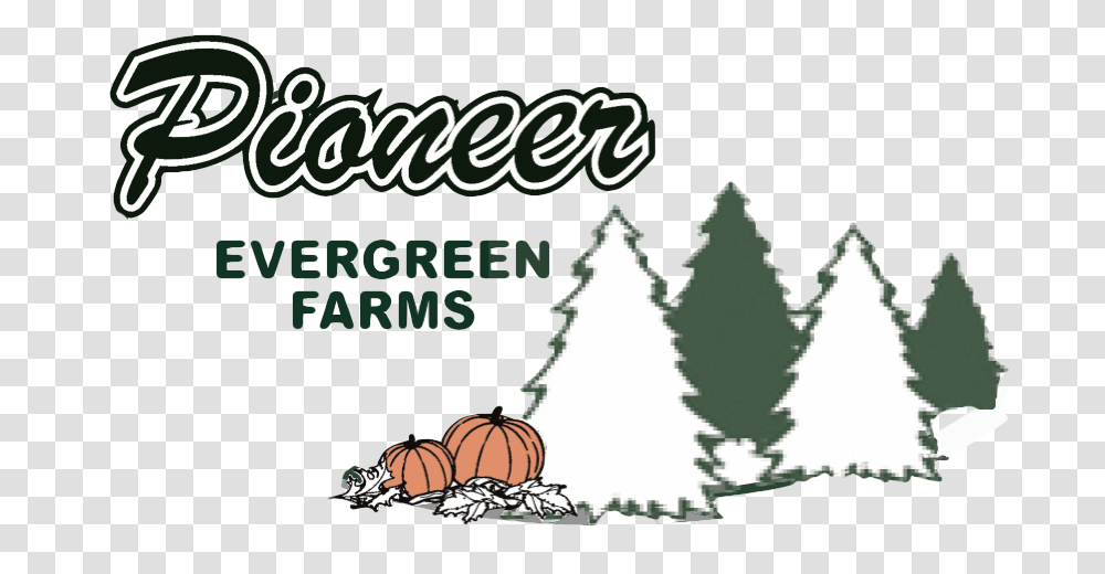 Pioneer Evergreen Farms Logo, Plant, Tree, Label Transparent Png
