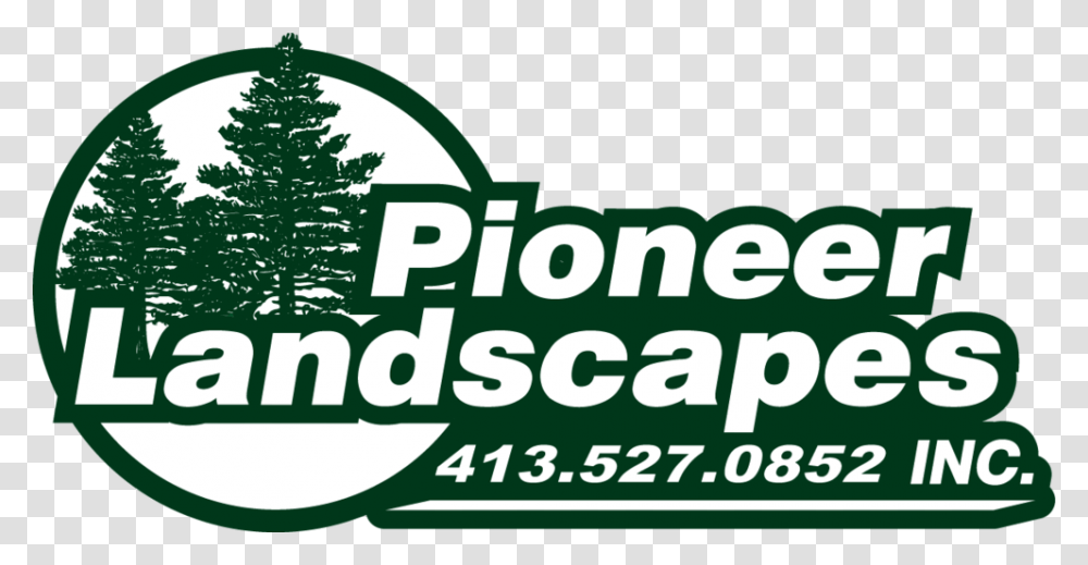 Pioneer Logo Green Christmas Tree, Plant, Fir Transparent Png