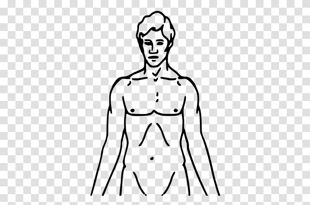 Pioneer Plaque Man Upper Body As Diagram Template, Gray, World Of Warcraft Transparent Png