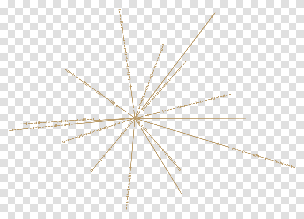 Pioneer Plaque, Nature, Outdoors, Pattern, Spider Transparent Png