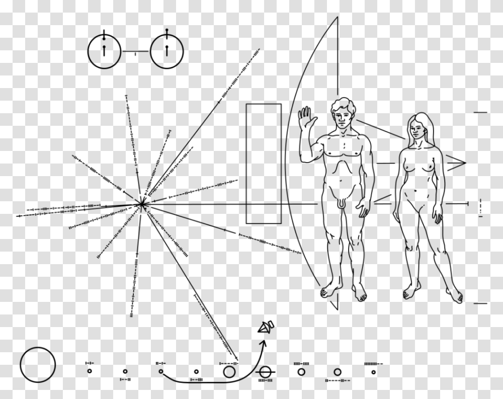 Pioneer Plaque Svg, Gray, World Of Warcraft Transparent Png