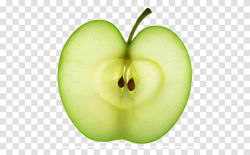 Pip Of An Apple, Plant, Tennis Ball, Sport, Sports Transparent Png
