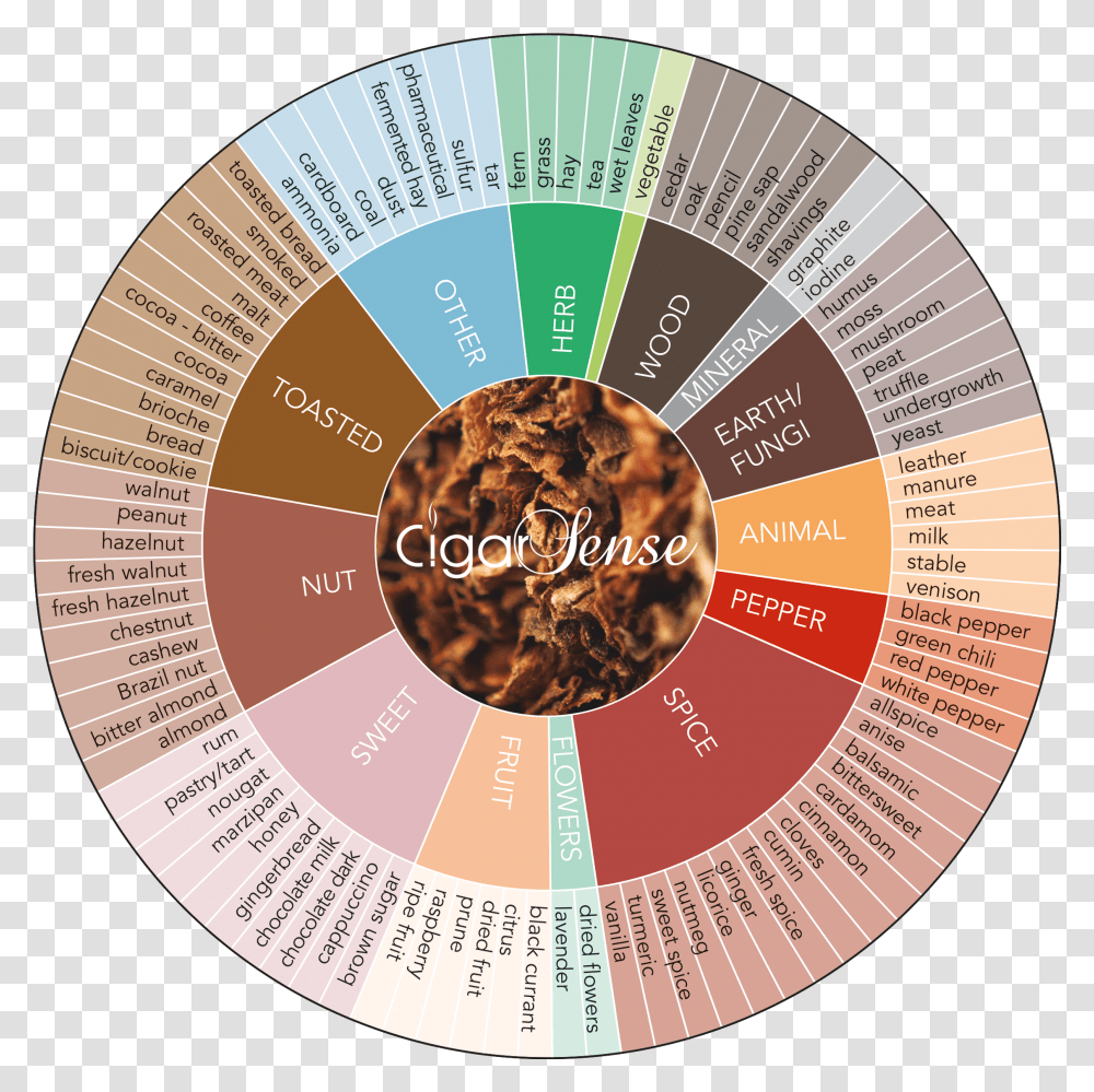 Pipe Tobacco Flavor Wheel, Word, Flyer, Advertisement, Brochure Transparent Png