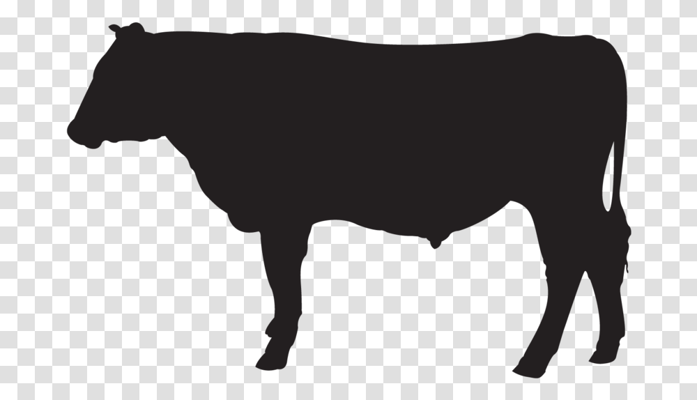 Pipeline Icons Cattle, Silhouette, Bull, Mammal, Animal Transparent Png