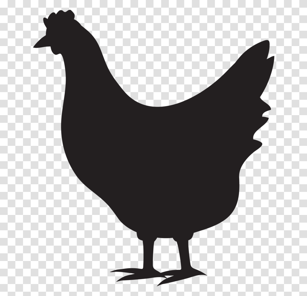 Pipeline Icons Chicken, Hen, Poultry, Fowl, Bird Transparent Png