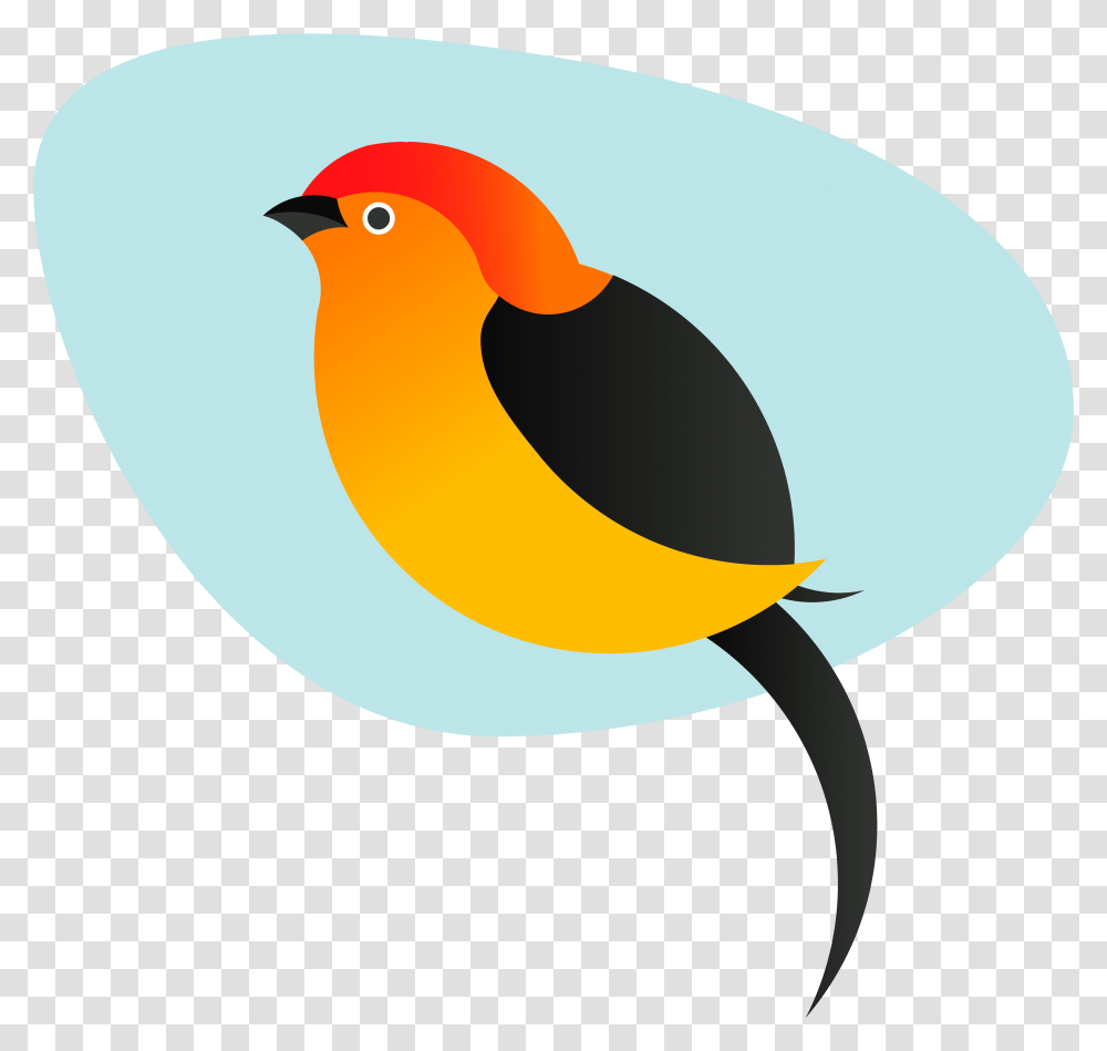 Pipra Is A Boutique Indian Company On A Mission To Robin, Finch, Bird, Animal, Canary Transparent Png