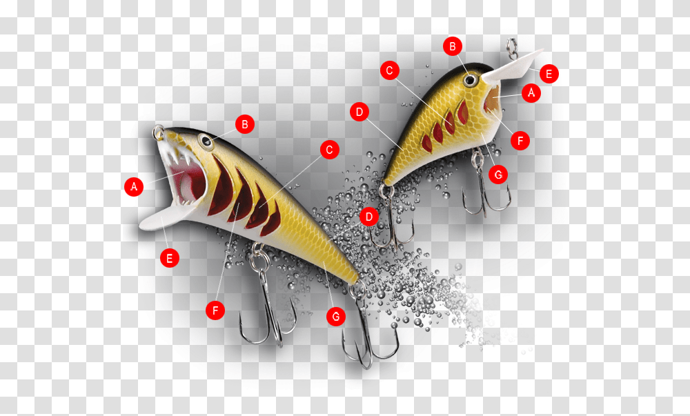 Pirana Fishing Lure Features, Animal, Bait Transparent Png