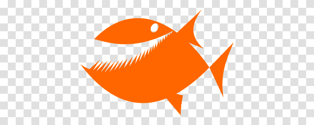 Piranha Emotion, Fish, Animal, Goldfish Transparent Png