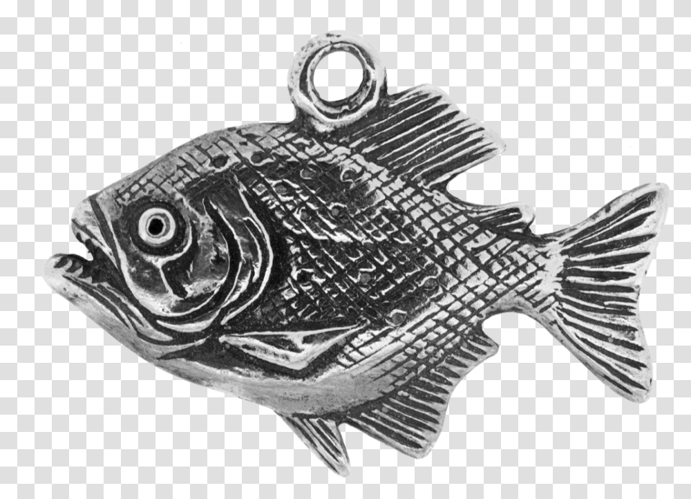 Piranha Bass, Fish, Animal, Sea Life, Aquatic Transparent Png