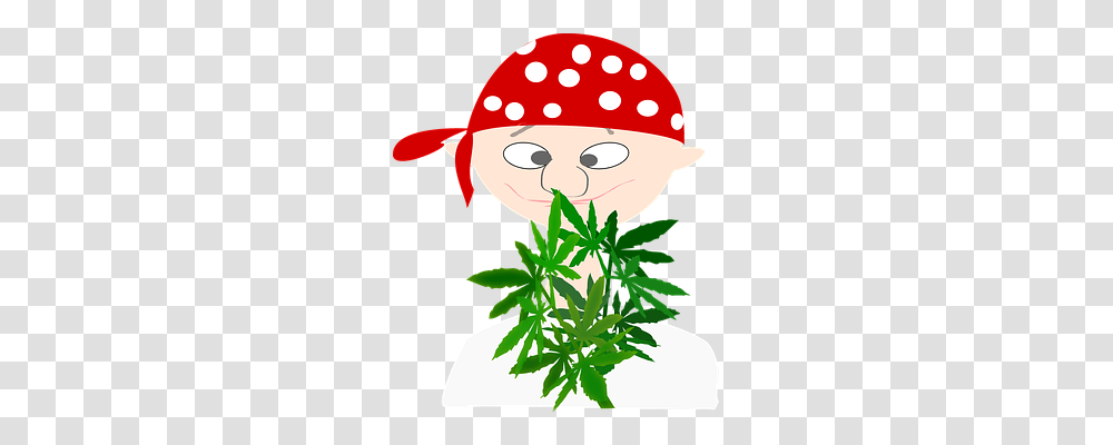 Pirate Person, Plant, Green, Vegetation Transparent Png