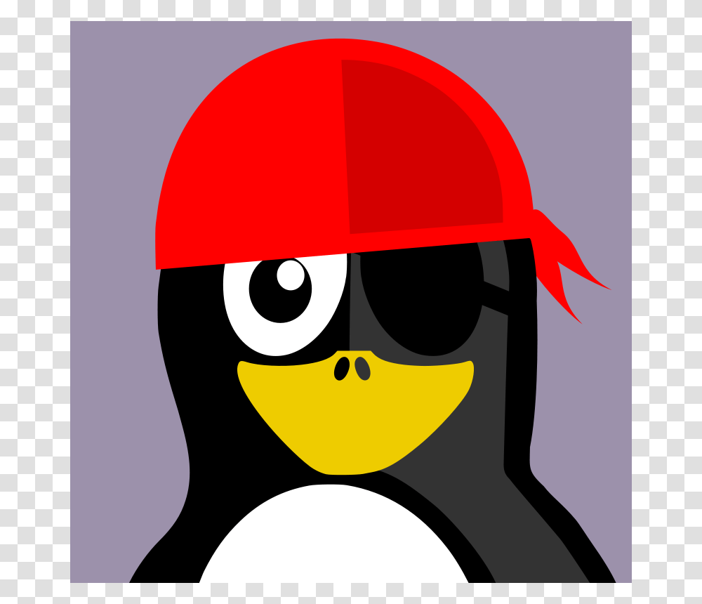 Pirate, Animals, Penguin, Bird, Helmet Transparent Png
