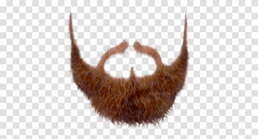 Pirate Beard Beardpng Images Pluspng Haircut, Chicken, Bird, Animal, Produce Transparent Png