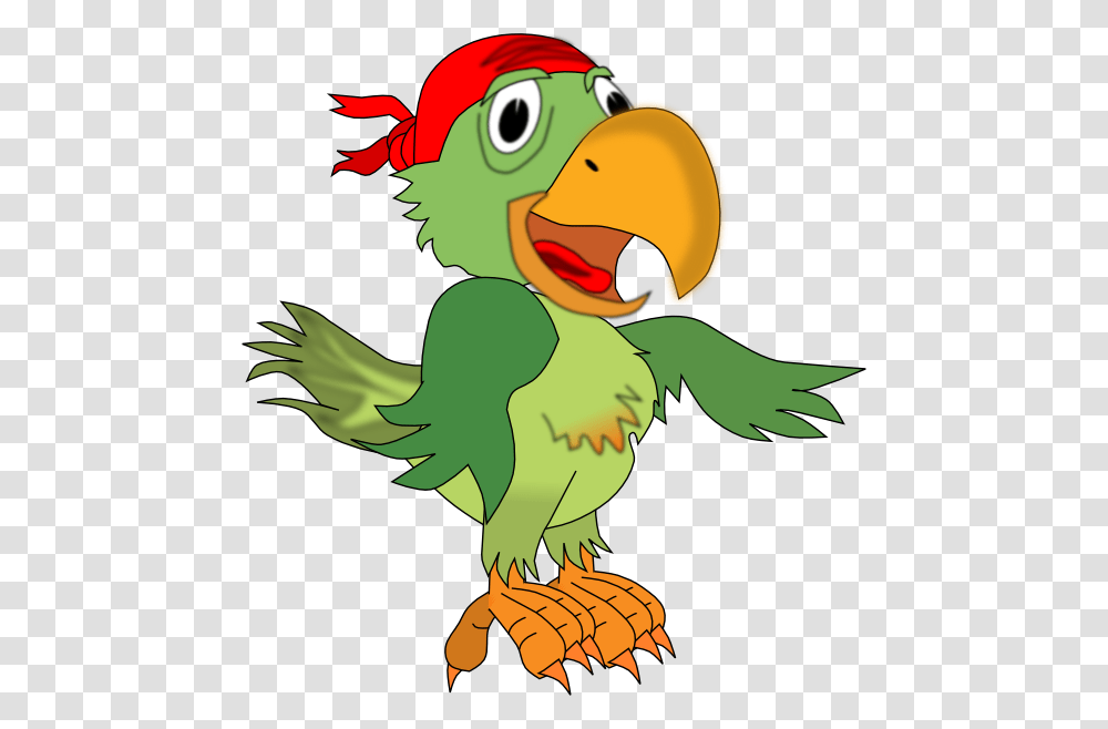 Pirate Parrot Hi Charles H Macnider Art Museum, Animal, Bird, Beak, Dodo Transparent Png