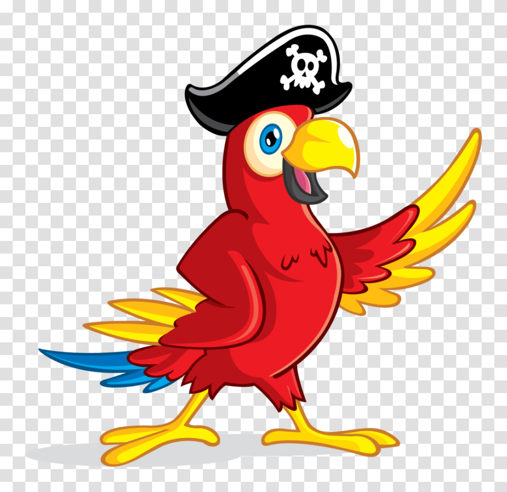 Pirate Parrot Image Vector Clipart, Animal, Bird, Macaw, Beak Transparent Png