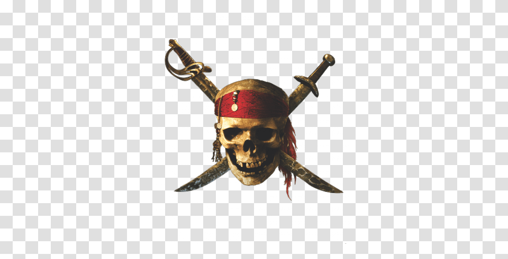 Pirate, Person, Insect, Invertebrate, Animal Transparent Png