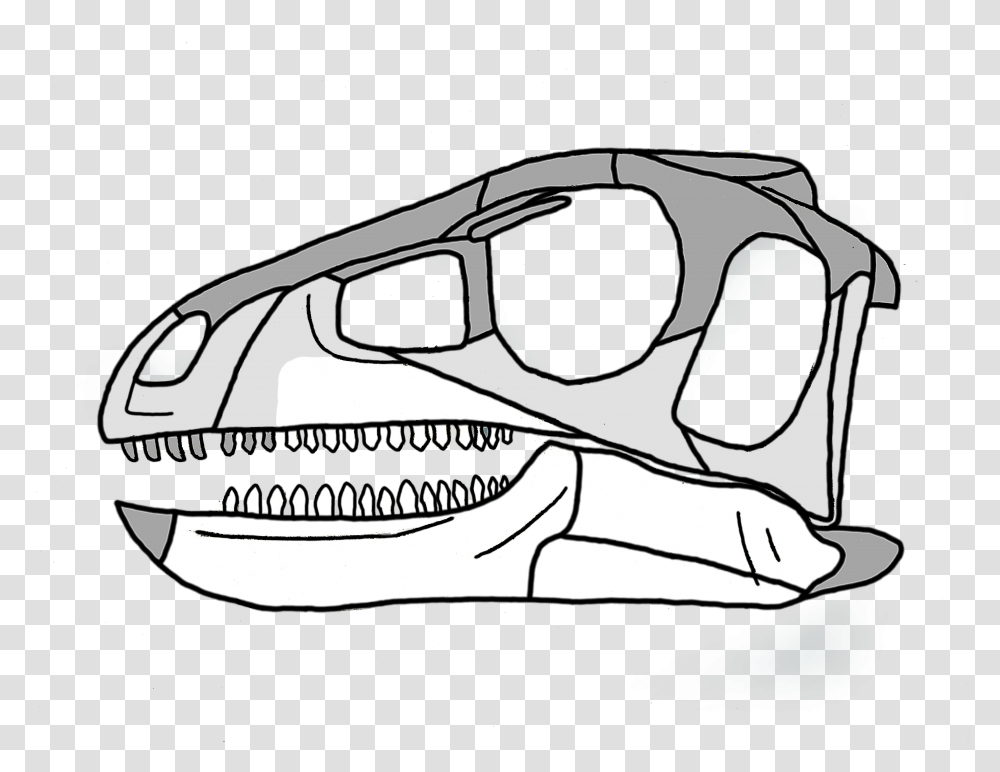 Pisanosaurus Skull, Sunglasses, Accessories, Accessory, Teeth Transparent Png
