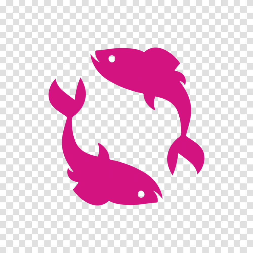 Pisces, Animal, Amphibian, Wildlife, Tadpole Transparent Png