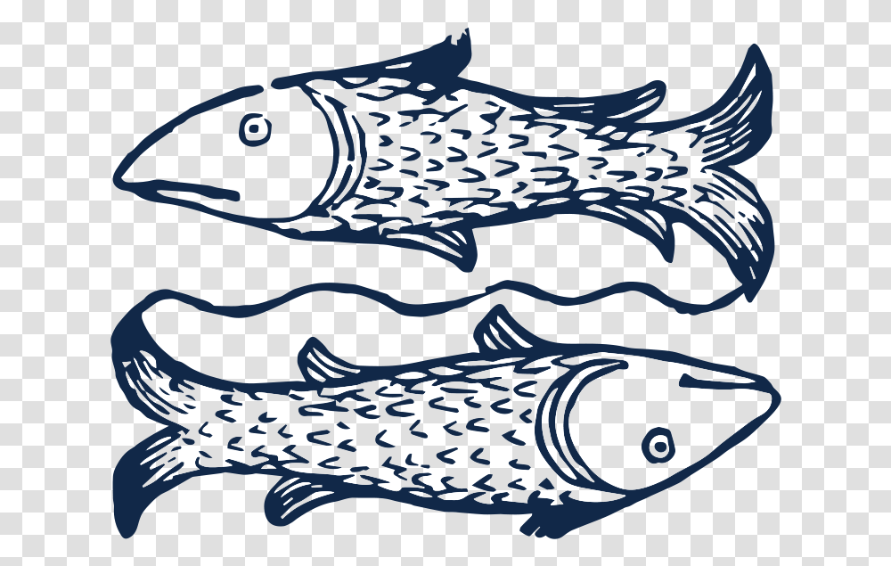 Pisces Fish, Animal, Sea Life, Trout, Pike Transparent Png