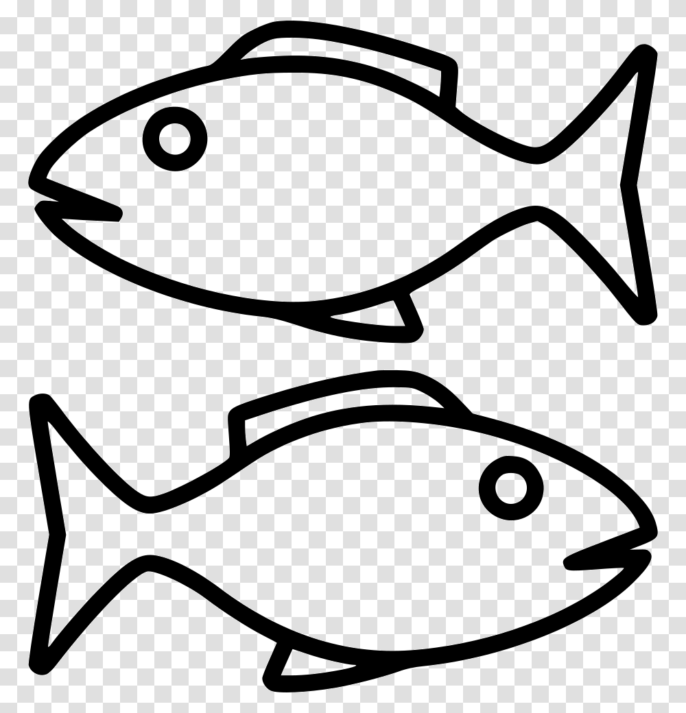 Pisces Pomacentridae, Fish, Animal, Sea Life, Outdoors Transparent Png