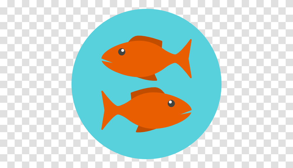 Pisces, Zodiac, Goldfish, Animal Transparent Png