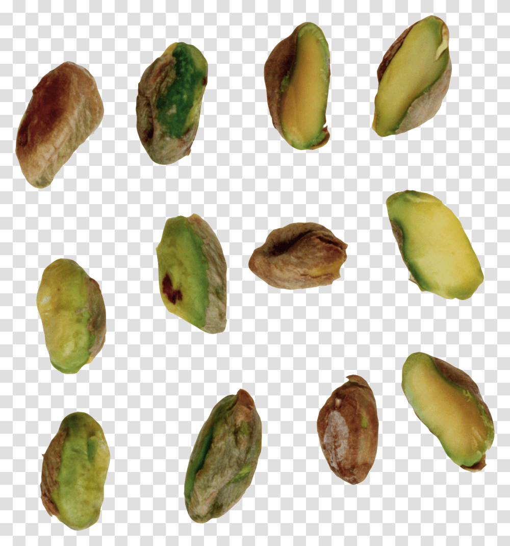 Pistachio, Plant, Food, Nut, Vegetable Transparent Png