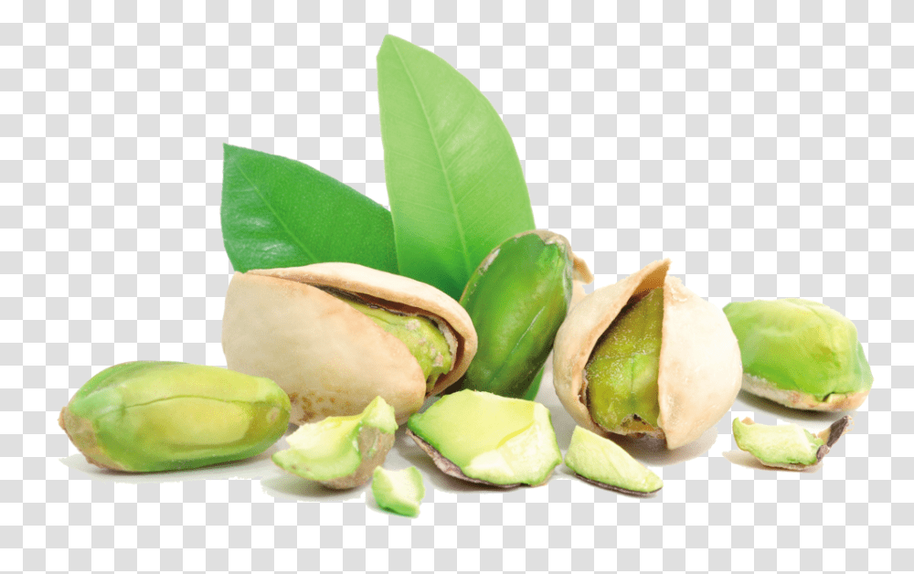 Pistachio, Plant, Nut, Vegetable, Food Transparent Png