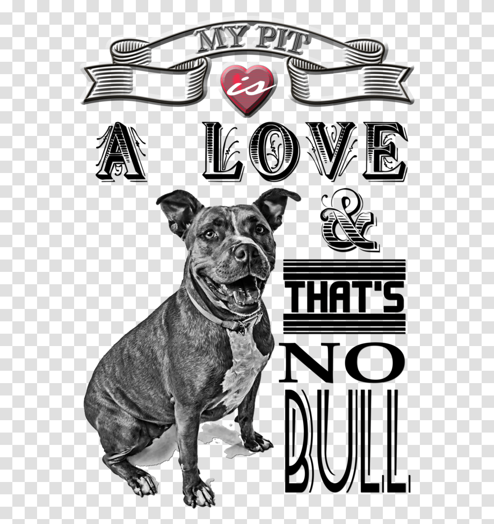 Pit Bull, Dog, Pet, Canine, Animal Transparent Png