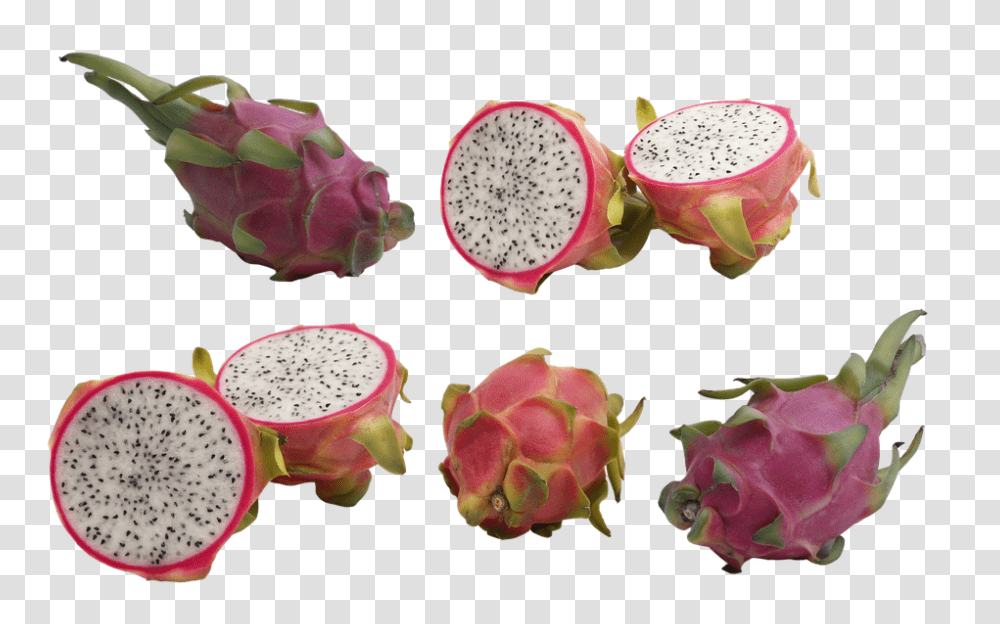 Pitahaya 960, Fruit, Plant, Flower, Blossom Transparent Png