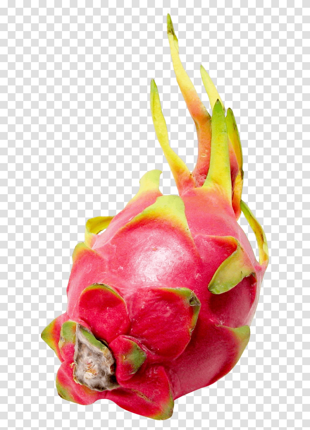 Pitapitaya Dragon Fruit Background, Plant, Food, Rose, Flower Transparent Png