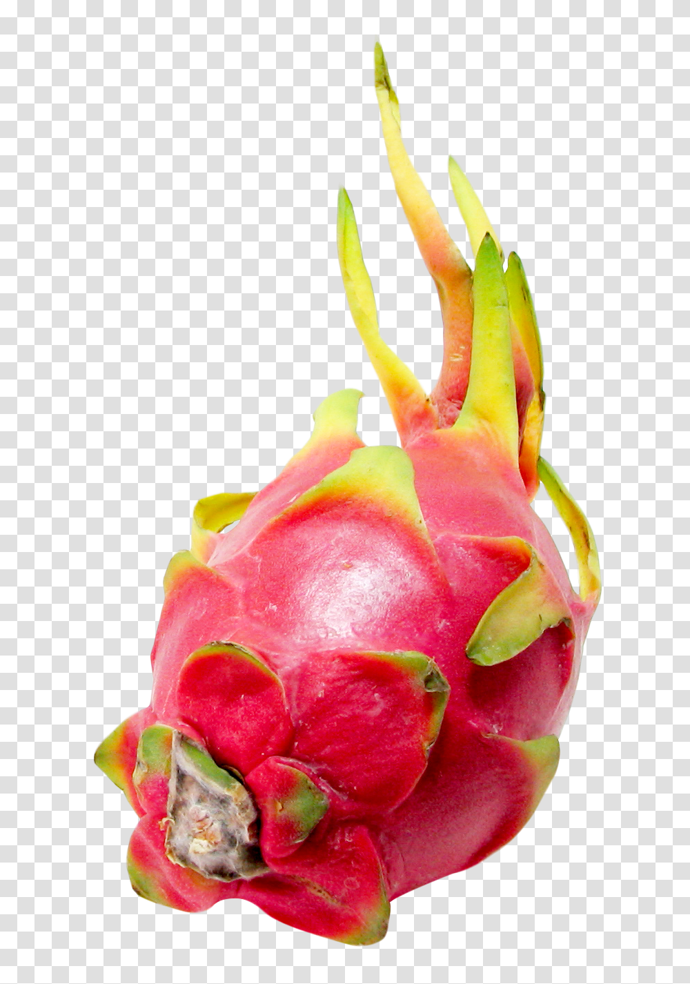 Pitaya Or Dragon Fruit Image, Plant, Food, Strawberry, Pineapple Transparent Png