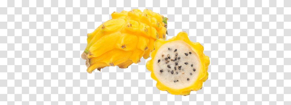 Pitaya Yellow, Plant, Fruit, Food, Rose Transparent Png