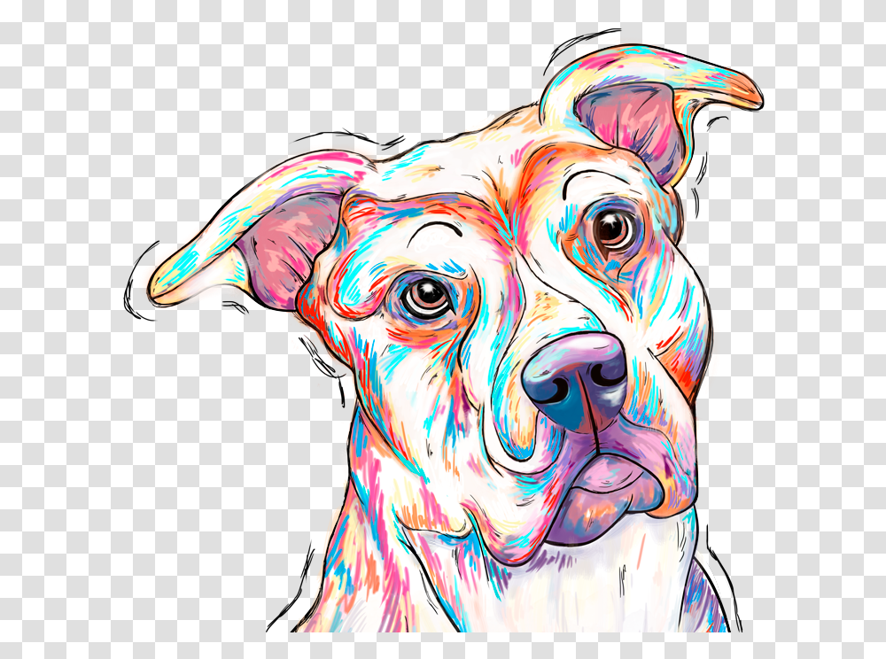 Pitbull Companion Dog, Drawing, Doodle, Canine Transparent Png