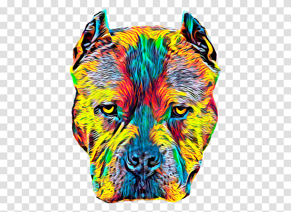 Pitbull Dog Breed Pet Head Portrait Color Hand Towel Dog Breed, Pattern, Ornament, Art, Fractal Transparent Png