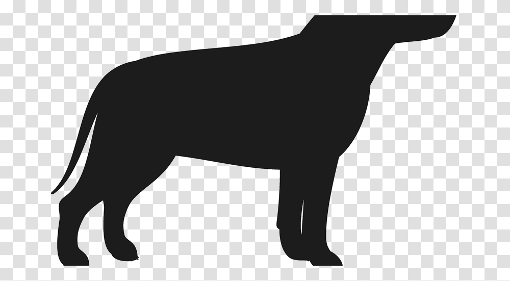 Pitbull Dog Silhouette Com Free For Personal Use Guard Dog, Mammal, Animal, Wildlife, Buffalo Transparent Png