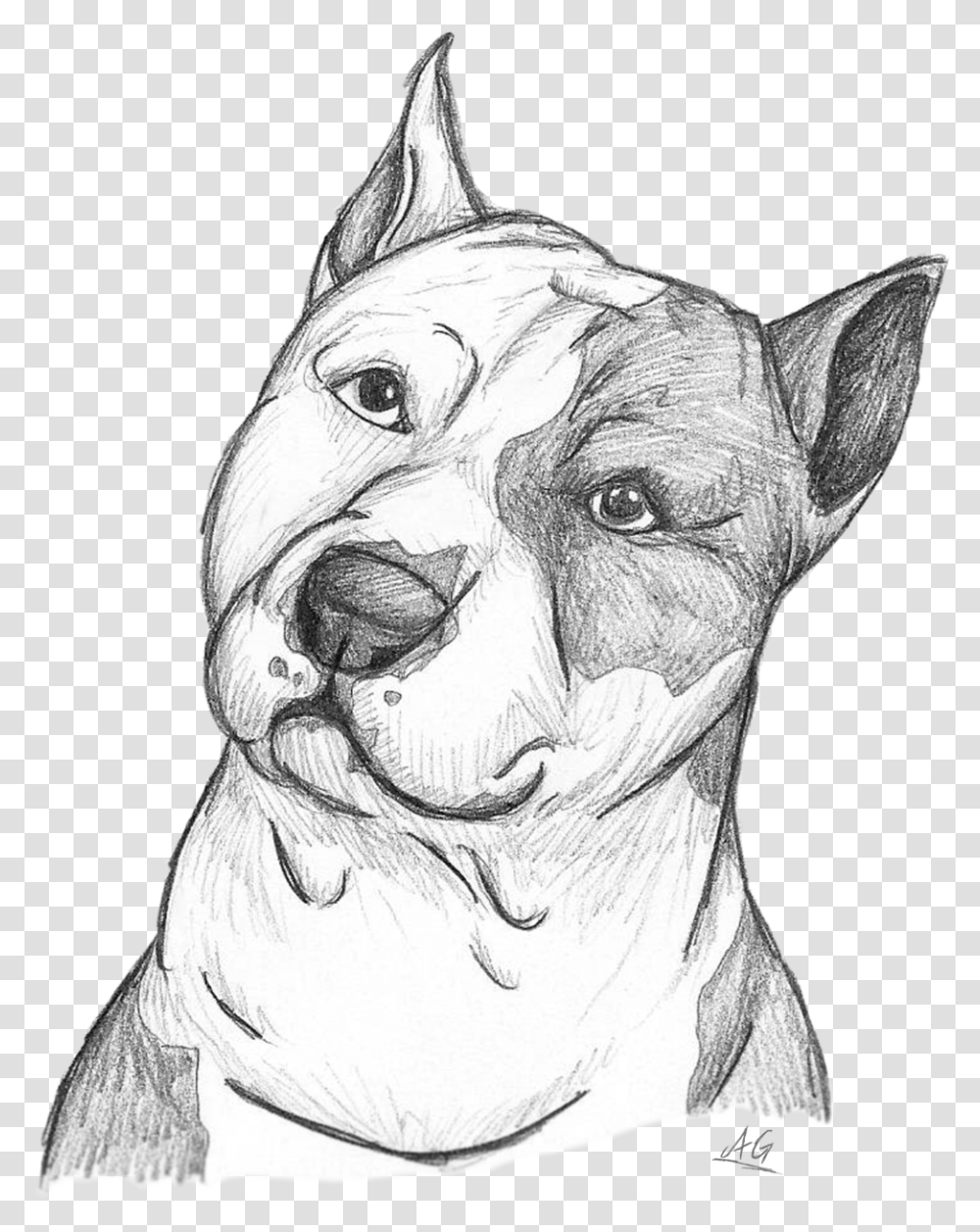 Pitbull Drawing Eye Draw A Staffordshire Bull Terrier, Person, Human, Sketch Transparent Png