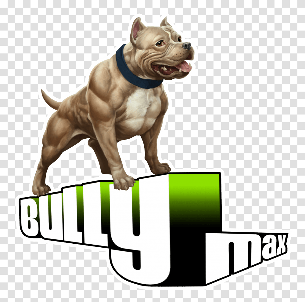 Pitbull Logo Download American Bullyv, Bulldog, Pet, Canine, Animal Transparent Png
