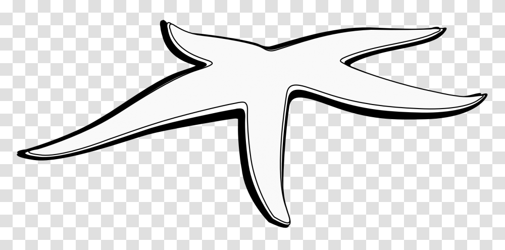 Pix For Gt Starfish Black And White Drawing Boos Rug, Axe, Tool, Animal, Sea Life Transparent Png