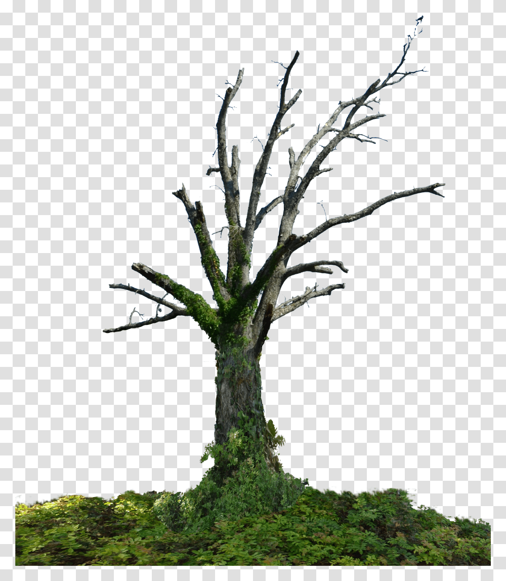 Pixel Tree Dead Tree Hd Transparent Png
