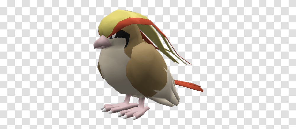 Pixelmon Wiki, Bird, Animal, Finch Transparent Png