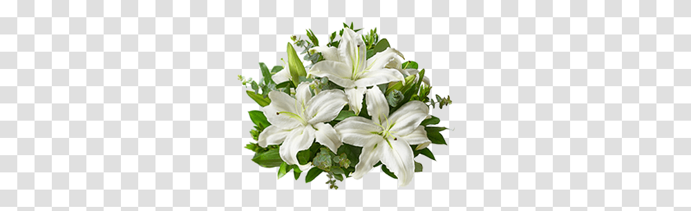 Pixels 345x377 Funeral Flower, Plant, Anther, Lily, Petal Transparent Png
